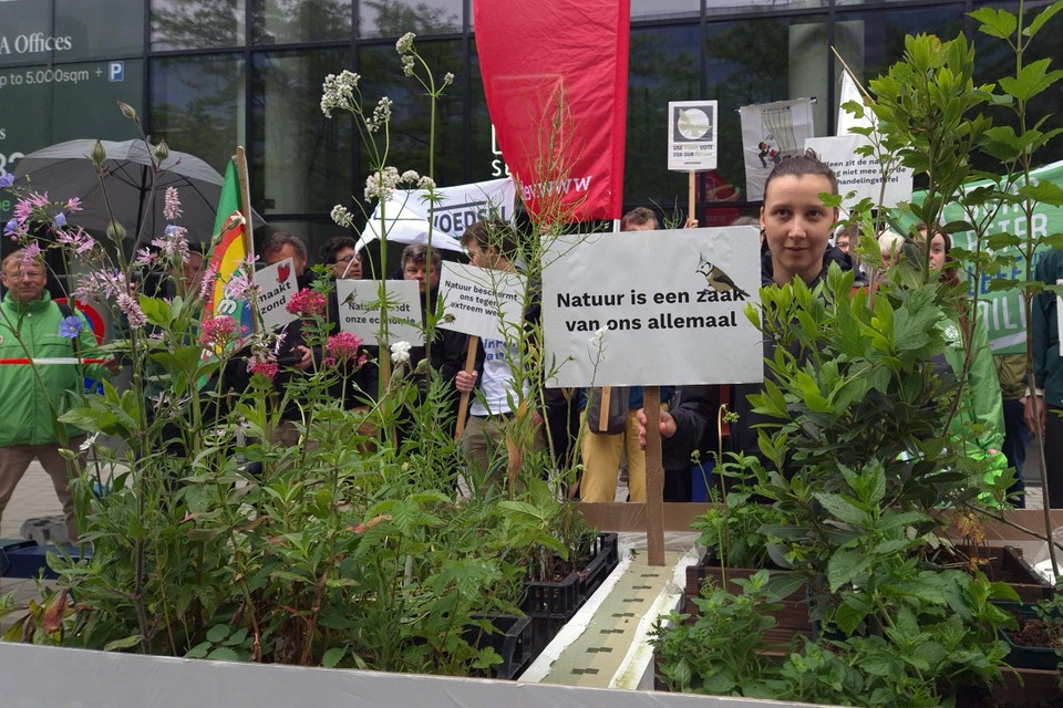 Verschillende organisaties verzamelden eind mei in Brussel voor een actie ter ondersteuning van de EU natuurherstelwet