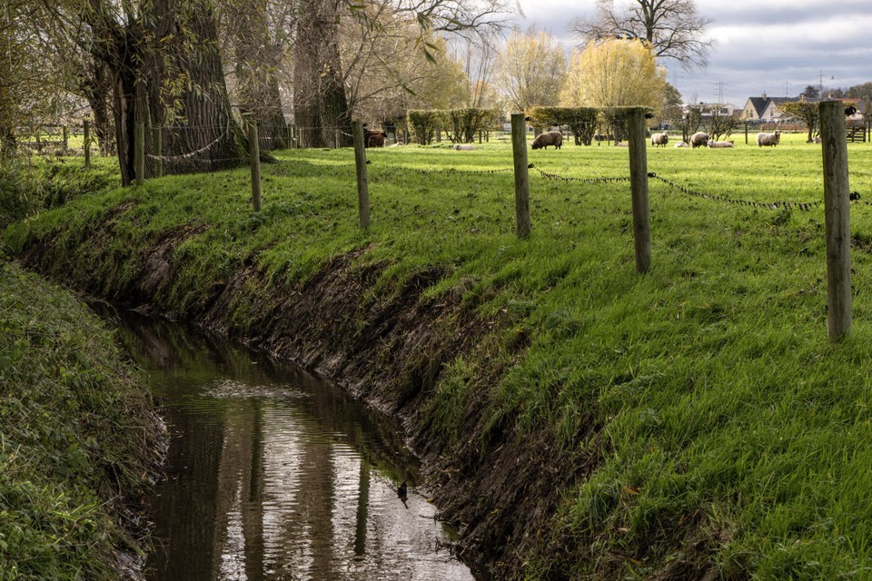 Door een overdosis aan nitraat is de waterkwaliteit in Vlaanderen op veel plekken ondermaats.