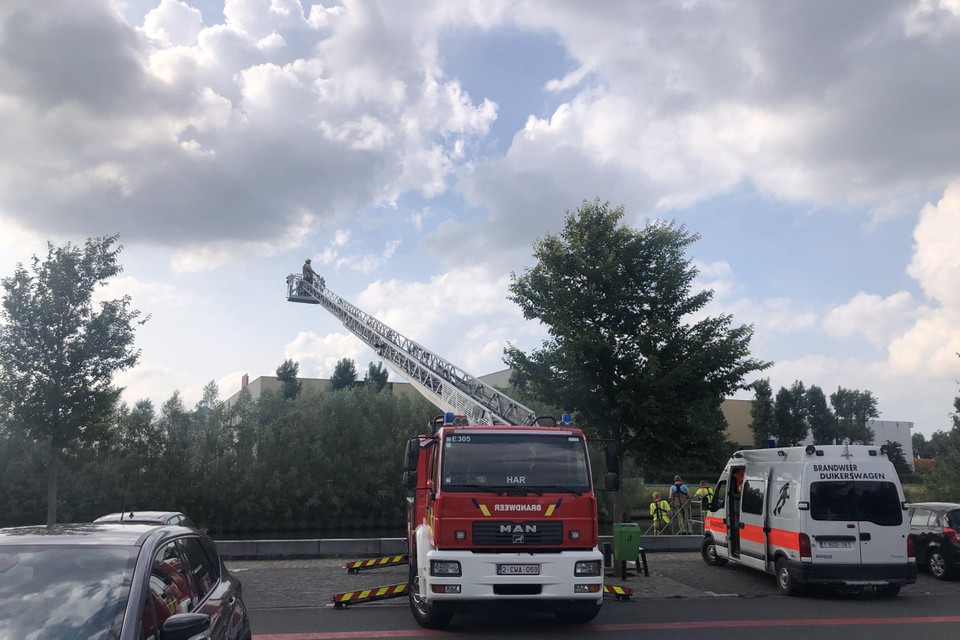 Vanop de ladderwagen werd de Leie afgespeurd om de drenkeling te zoeken.