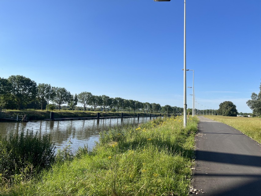 Het dier doolde drie weken gewond door de Vierselse beemden en weilanden.