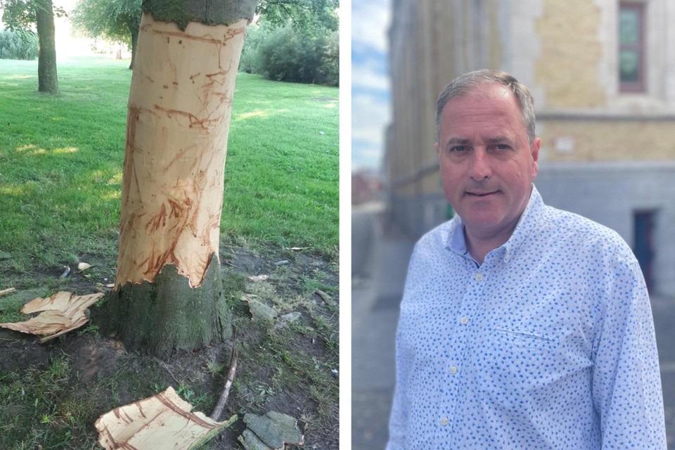 Burgemeester Christof Dejaegher (CD&amp;V) betreurt het vandalisme.