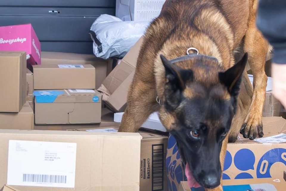 Met een speurhond werd naar verdachte pakjes gezocht