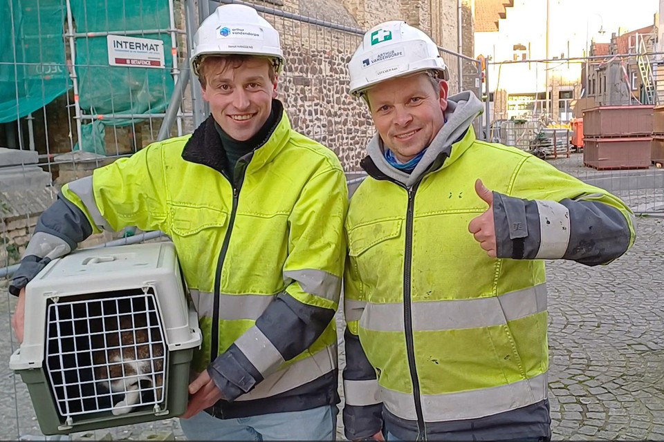 Benoît Hanssens en Ken Lefever redden Fientje uit haar benarde positie in de torenspits van de Sint-Pieterskerk.