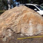 Paleontologen vinden 66 pootafdrukken van dinosaurussen op rotsblok in school in Australië.